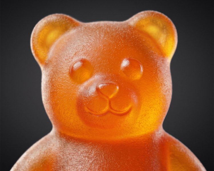 260828_Teddy-Tanis